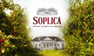 Soplica drink: proste przepisy na pyszne drinki w domu