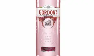 Różowy gin drink z czym pić - najlepsze połączenia i przepisy