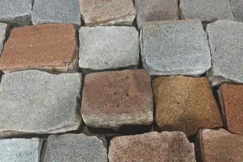 Zbliżenie na brukowiec w różnych odcieniach szarości i brązu.