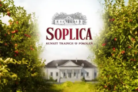 Soplica drink: proste przepisy na pyszne drinki w domu