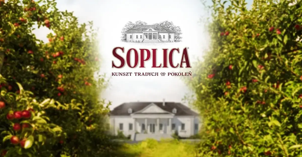Soplica drink: proste przepisy na pyszne drinki w domu
