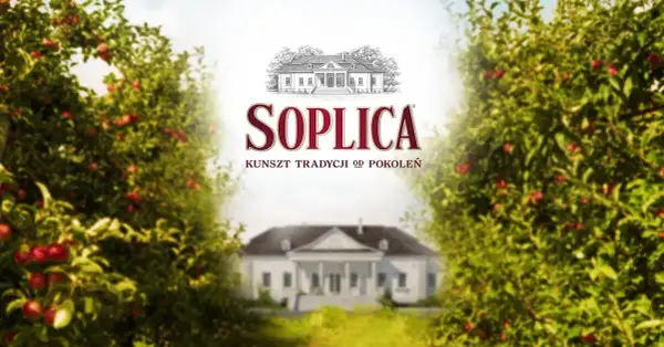 Soplica drink: proste przepisy na pyszne drinki w domu